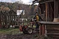 Деревня    Карасиха