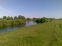 Деревня    Мелекшино