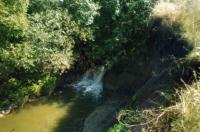 Село Глуховка