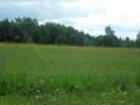 Алиса Якупова