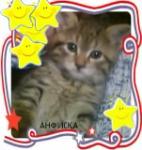 анна милованова