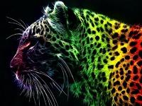 катя Фёдорова