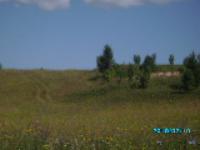 Деревня    Новоселы