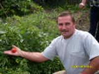 Улица Почтовая