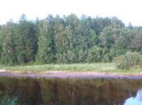 Деревня    Лиходиевский погост