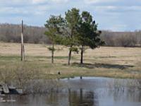 Село Седельниково