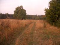 Деревня Закоп