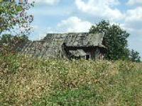 Город Лесной