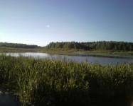 Деревня Ядрышникова