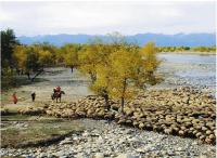 Село Тасархой